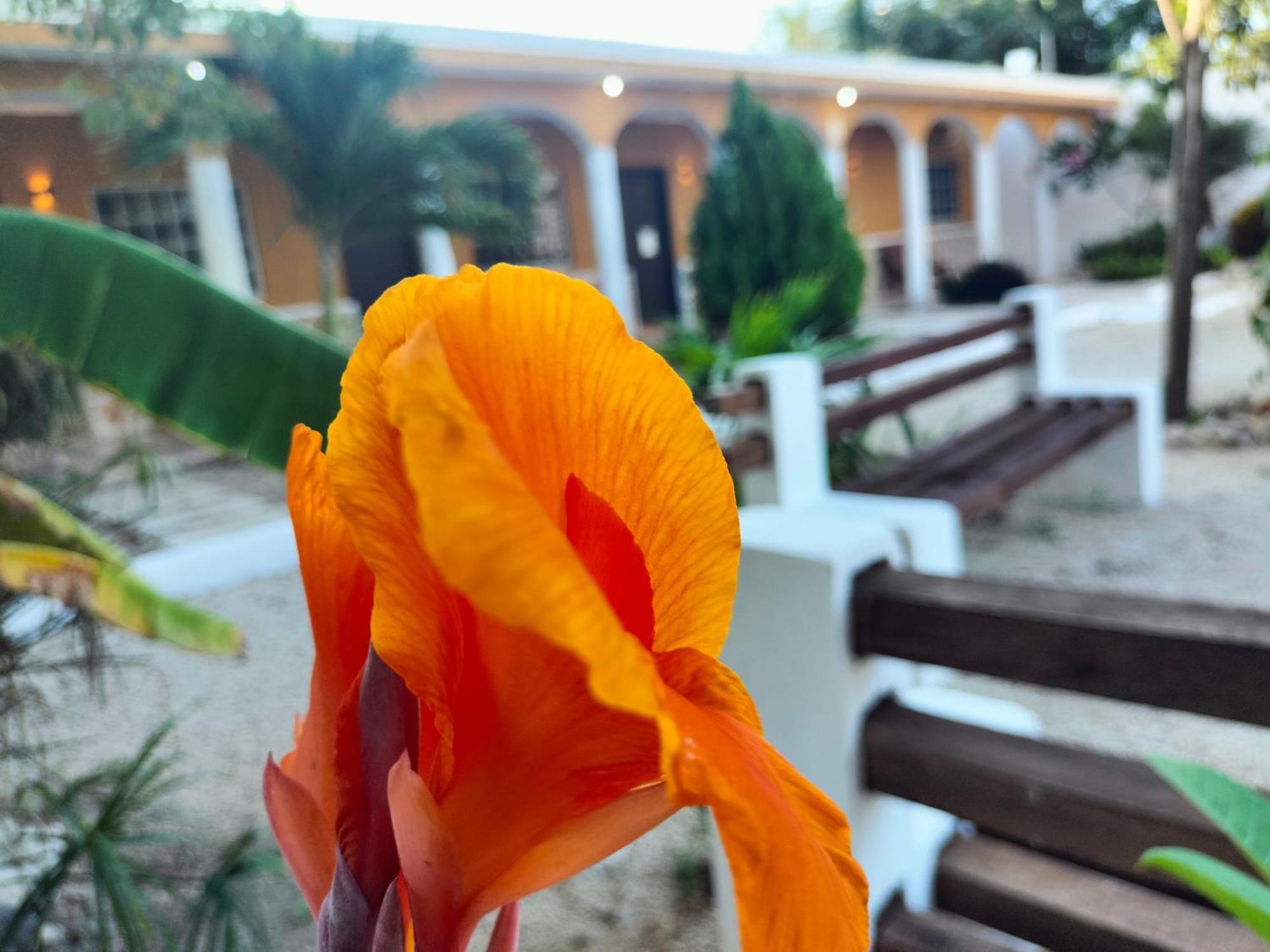 Villa Gabriela Celestun -Hotel & Restaurant Bagian luar foto