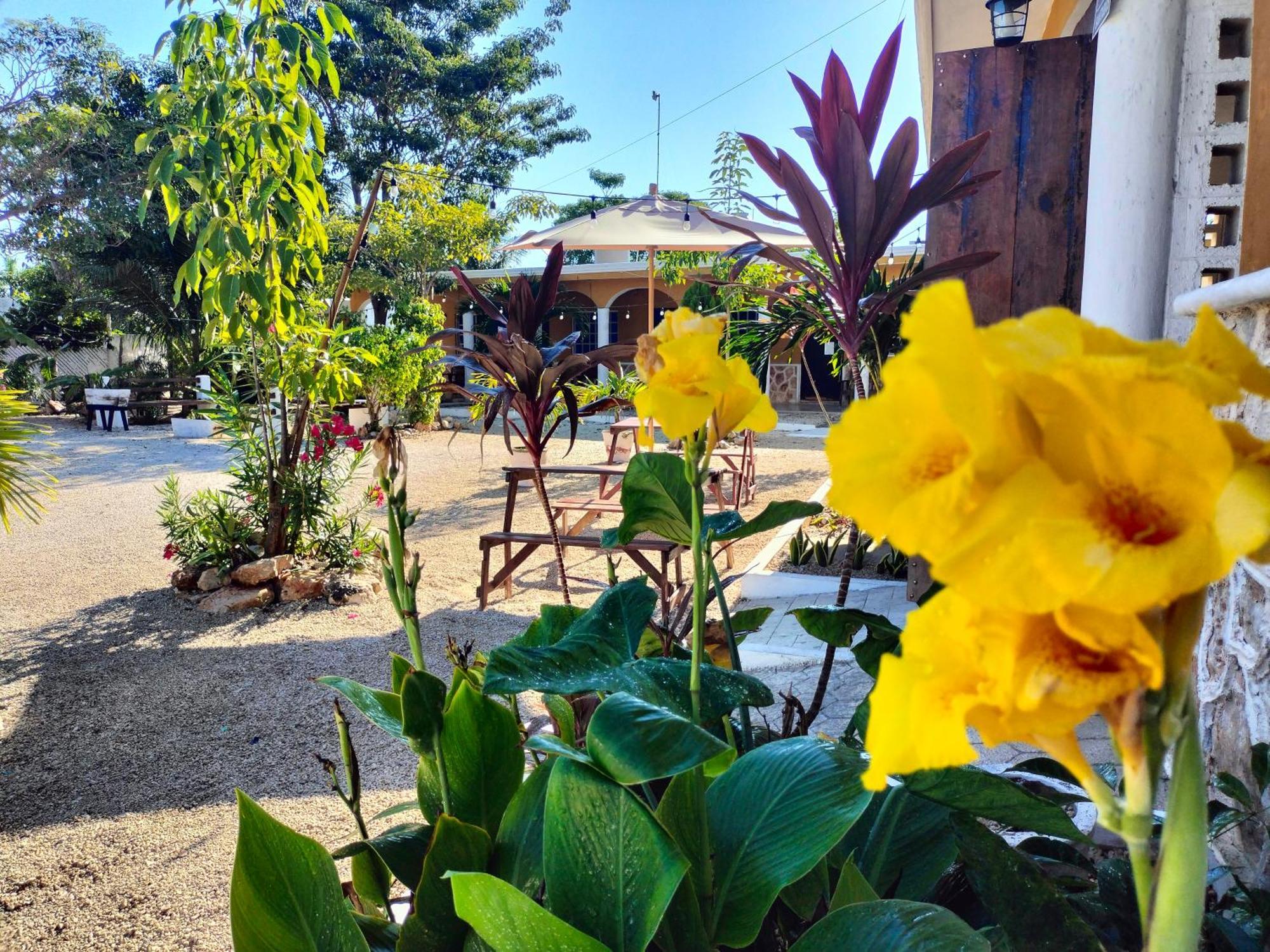 Villa Gabriela Celestun -Hotel & Restaurant Bagian luar foto